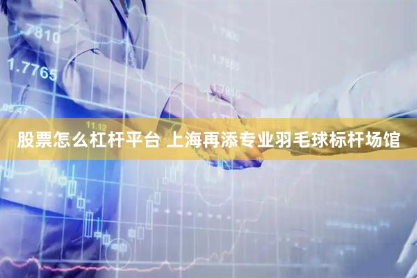 股票怎么杠杆平台 上海再添专业羽毛球标杆场馆